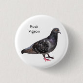 Rock Pigeon Button (Vorderseite)