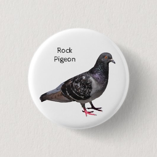 Rock Pigeon Button (Vorderseite)