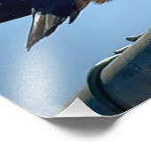 Rock Pigeon Fotodruck (Ecke)