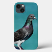 Rock Pigeon iPhone Fälle Case-Mate iPhone Hülle (Rückseite)