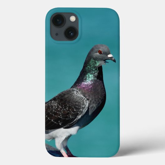 Rock Pigeon iPhone Fälle Case-Mate iPhone Hülle (Rückseite)