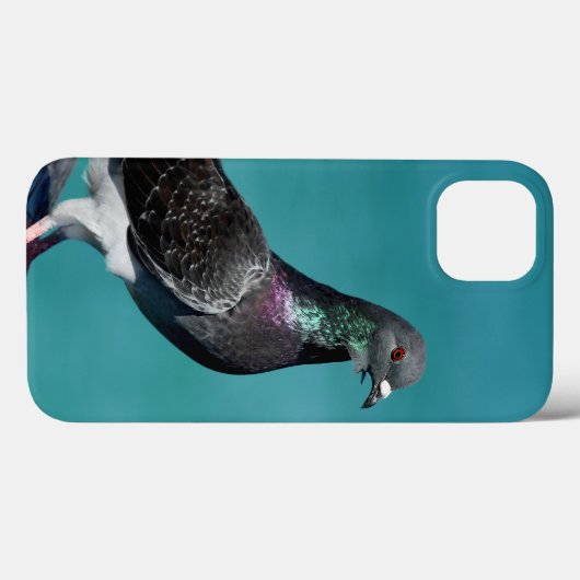 Rock Pigeon iPhone Fälle Case-Mate iPhone Hülle (Rückseite (Horizontal))