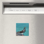 Rock Pigeon Magnet (In Situ (Geschirrspüler))