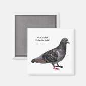 Rock Pigeon Magnet (Vorderseite/Rückseite)