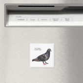 Rock Pigeon Magnet (In Situ (Geschirrspüler))