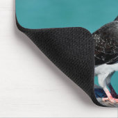 Rock Pigeon Mousepad (Ecke)
