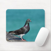 Rock Pigeon Mousepad (Mit Mouse)