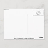 Rock Pool Nature Collection Postkarte (Rückseite)