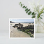 Rock Pools Postkarte (Stehend Vorderseite)