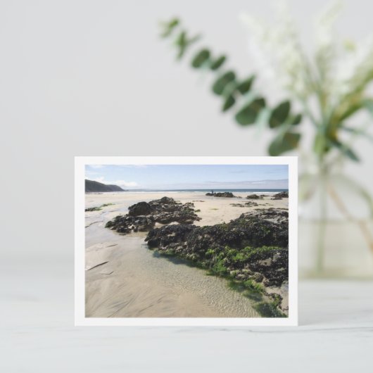 Rock Pools Postkarte (Stehend Vorderseite)