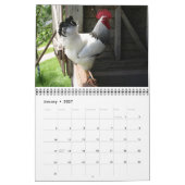 Rock Roos' Kalender (Jan 2027)