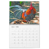 Rock Roos' Kalender (Mär 2026)