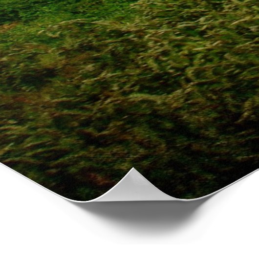 Rock Solid Barn Poster (Ecke)