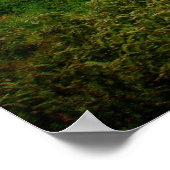 Rock Solid Barn Poster (Ecke)