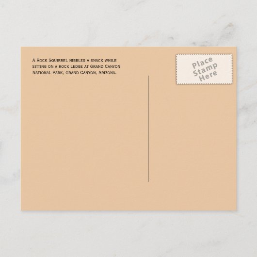 Rock Squirrel auf Rock Nibbling Snack, Grand Canyo Postkarte (Rückseite)