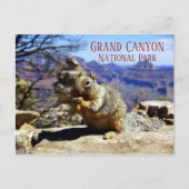 Rock Squirrel auf Rock Nibbling Snack, Grand Canyo Postkarte (Vorderseite)