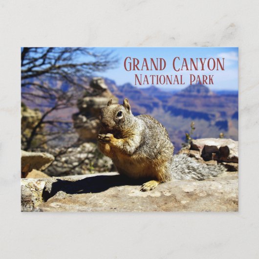 Rock Squirrel auf Rock Nibbling Snack, Grand Canyo Postkarte (Vorderseite)
