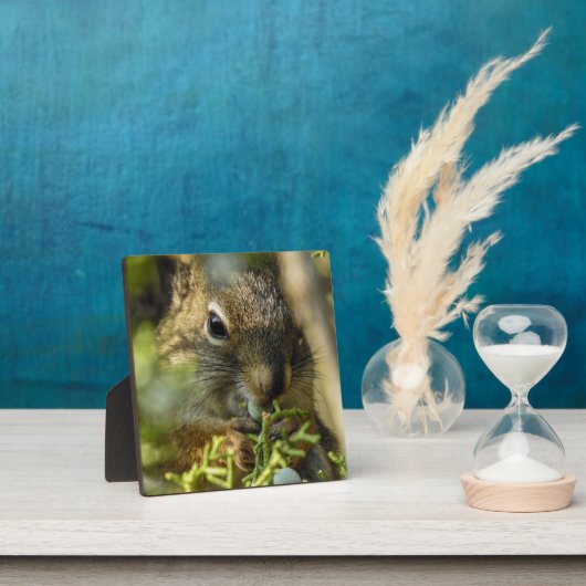 Rock Squirrel Desktop Plaque Fotoplatte (InSitu)