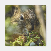 Rock Squirrel Magnet (Vorne)