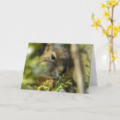 Rock Squirrel Notecard Karte (Gelbe Blume)