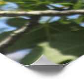 Rock Squirrel Poster (Ecke)