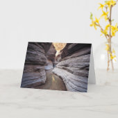 Rock Steady Greeting Card Karte (Gelbe Blume)