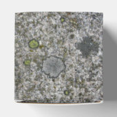 Rock Textur Grauer Granit mit Moss beliebigen Text Geschenkschachtel (Oben)