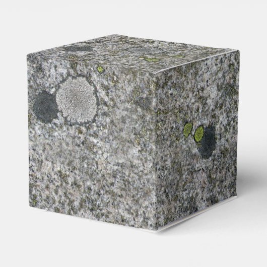 Rock Textur Grauer Granit mit Moss beliebigen Text Geschenkschachtel (Rückseite)