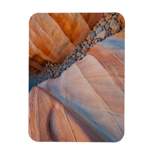 Rock Valley Staat Park Nevada Magnet (Vertikal)
