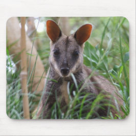Rock Wallaby Mousepad