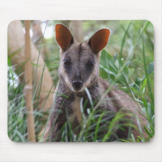 Rock Wallaby Mousepad (Vorne)