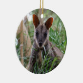 Rock Wallaby Ornament (Rechts)
