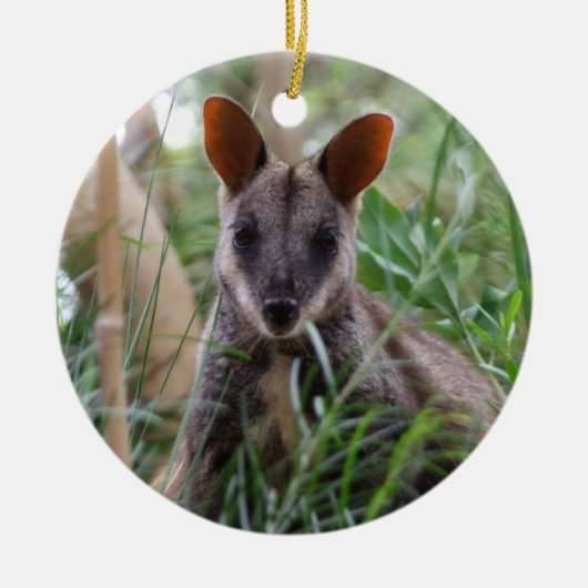 Rock Wallaby Ornament (Vorne)