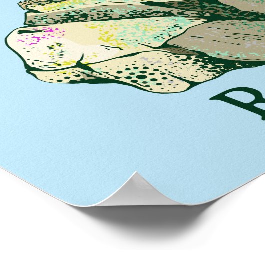 Rock Wren birds Neuseeland Poster (Ecke)