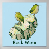 Rock Wren birds Neuseeland Poster (Vorne)