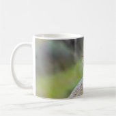 Rock Wren Kaffeetasse (Links)
