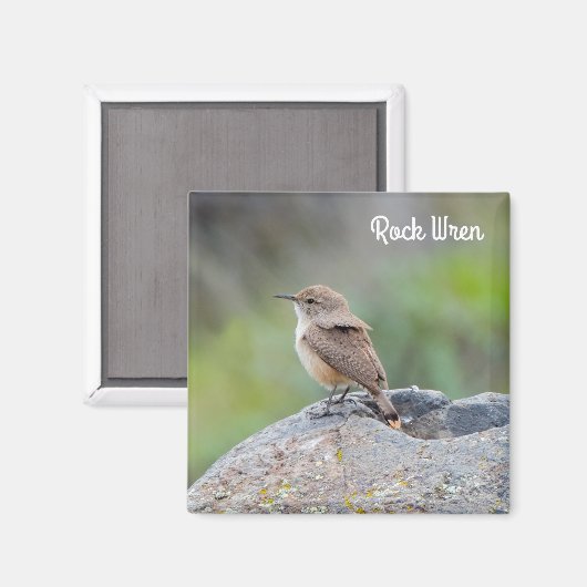 Rock Wren Magnet (Vorderseite/Rückseite)