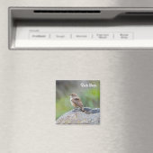 Rock Wren Magnet (In Situ (Geschirrspüler))
