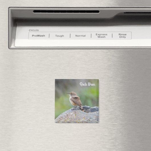 Rock Wren Magnet (In Situ (Geschirrspüler))