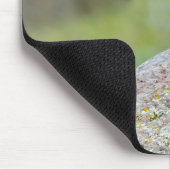 Rock Wren Mousepad (Ecke)