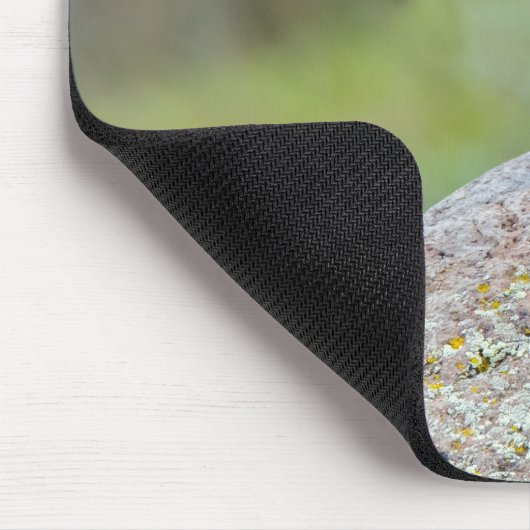 Rock Wren Mousepad (Ecke)