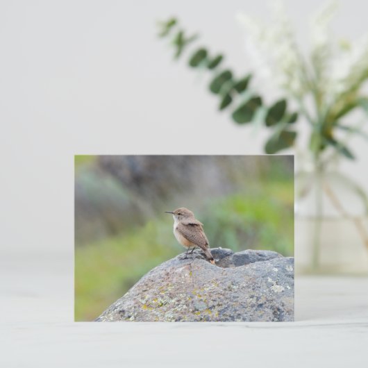 Rock Wren Postkarte (Stehend Vorderseite)