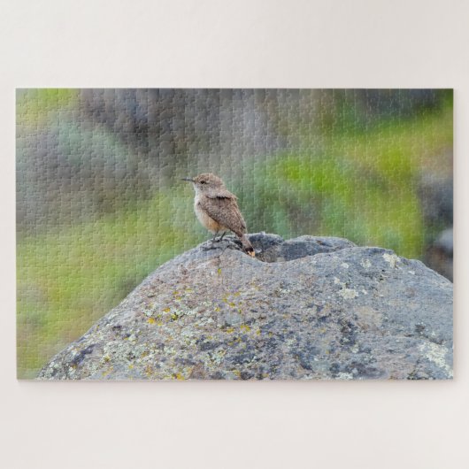 Rock Wren Puzzle (Horizontal)