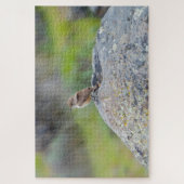 Rock Wren Puzzle (Vertikal)