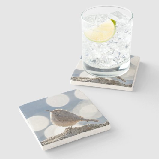 Rock Wren Stone Untersetzer (Seitenansicht)