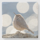 Rock Wren Stone Untersetzer (Vorderseite)