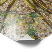 Rock-Wüste-Pflanze Fotodruck (Ecke)