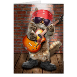 Rockerkatze - Schwermetallkatze - verrückte Katze