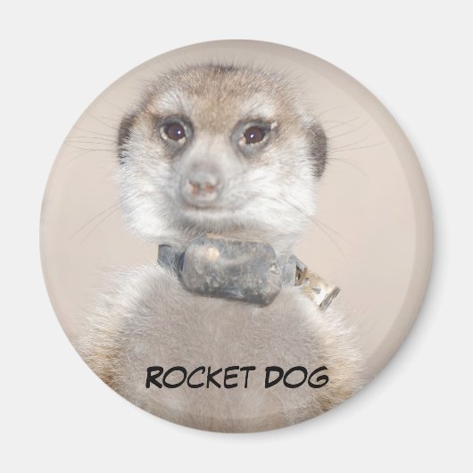 Rocket Dog Magnet (Vorne)
