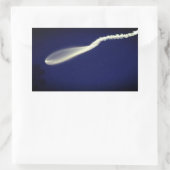 Rocket Jellyfish Rechteckiger Aufkleber (Tasche)